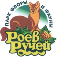 sponsor-image